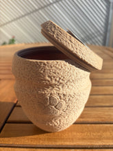 Cargar imagen en el visor de la galería, urne bio pour animaux