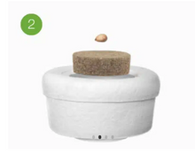 Cargar imagen en el visor de la galería, urne bios etapes