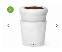 Cargar imagen en el visor de la galería, urne cineraire bios