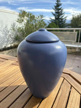 Cargar imagen en el visor de la galería, urne bleue celes avec vue montagne
