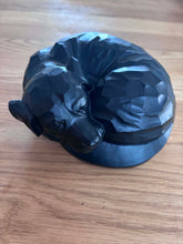 Cargar imagen en el visor de la galería, urne chien en résine
