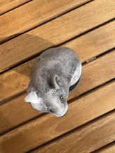 Cargar imagen en el visor de la galería, urne pour hamster vue du dessus
